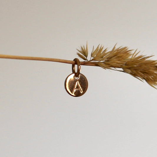 Dainty Disc Charm